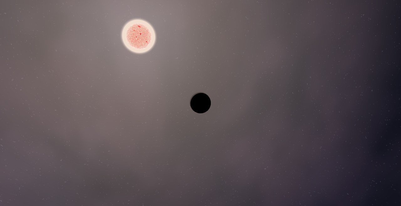 Preview of the HD 285507 - System scenario