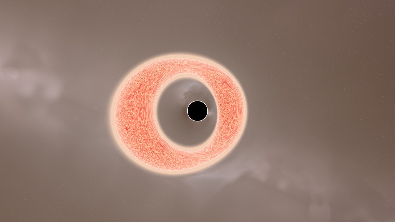 Preview of the V1487 Aquilae scenario