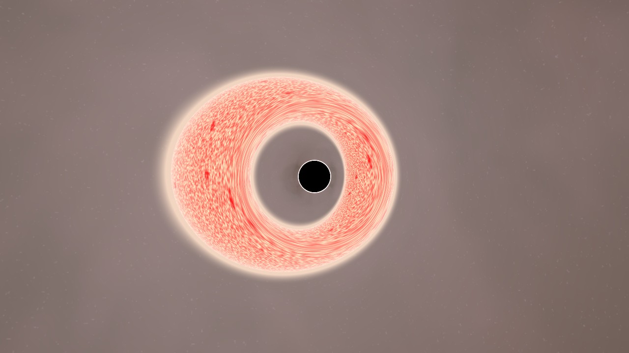 Preview of the V616 Monocerotis scenario